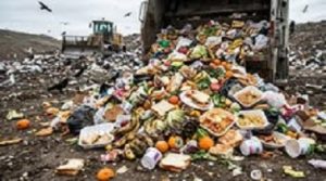 Food Waste