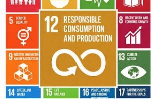 SDG 12